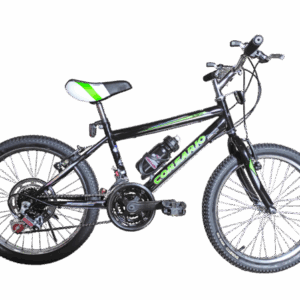 Bicicleta Corsario Rin 20 Basica