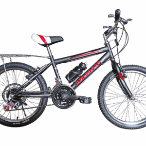 Bicicleta Corsario Rin 20 Equipada